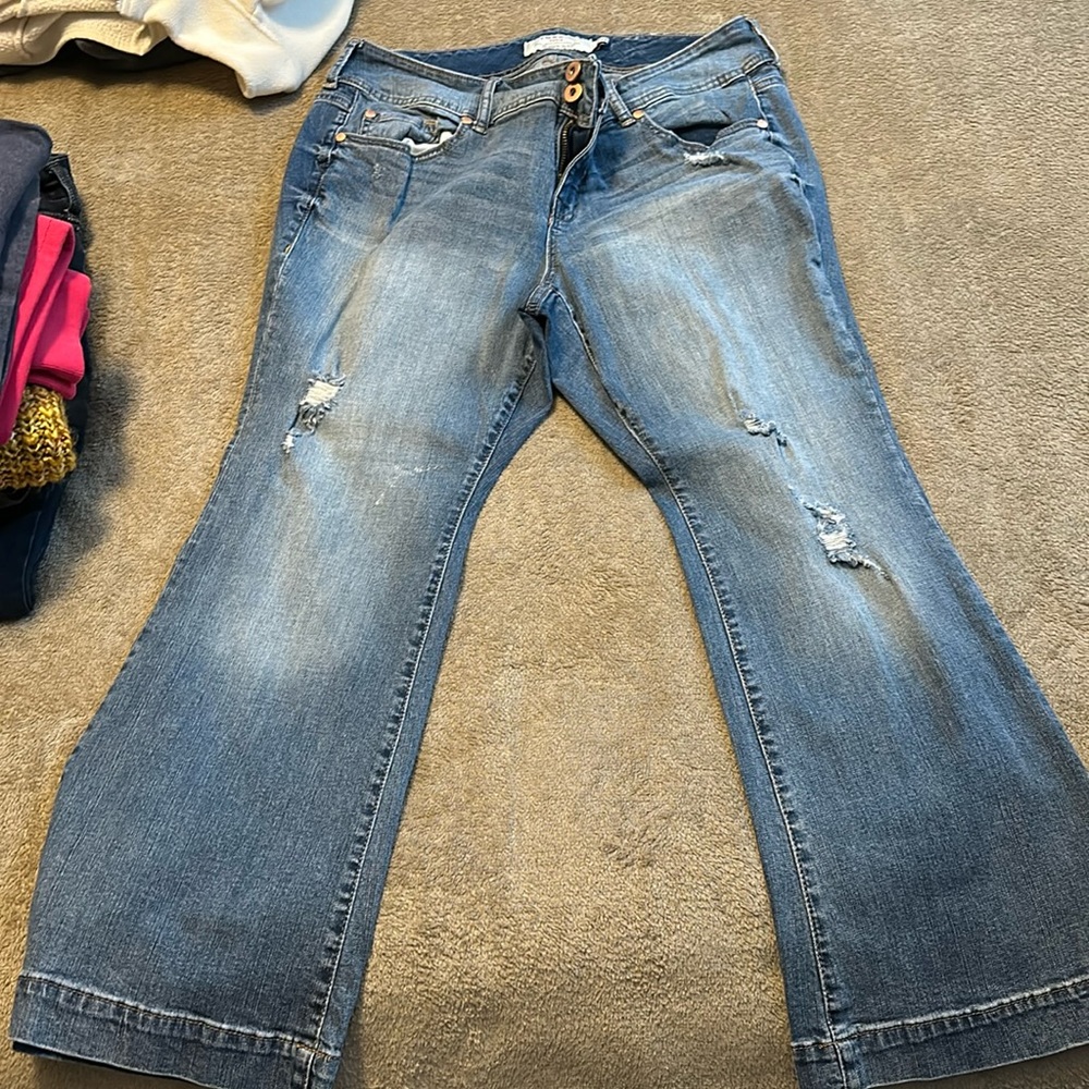 Torrid Jeans